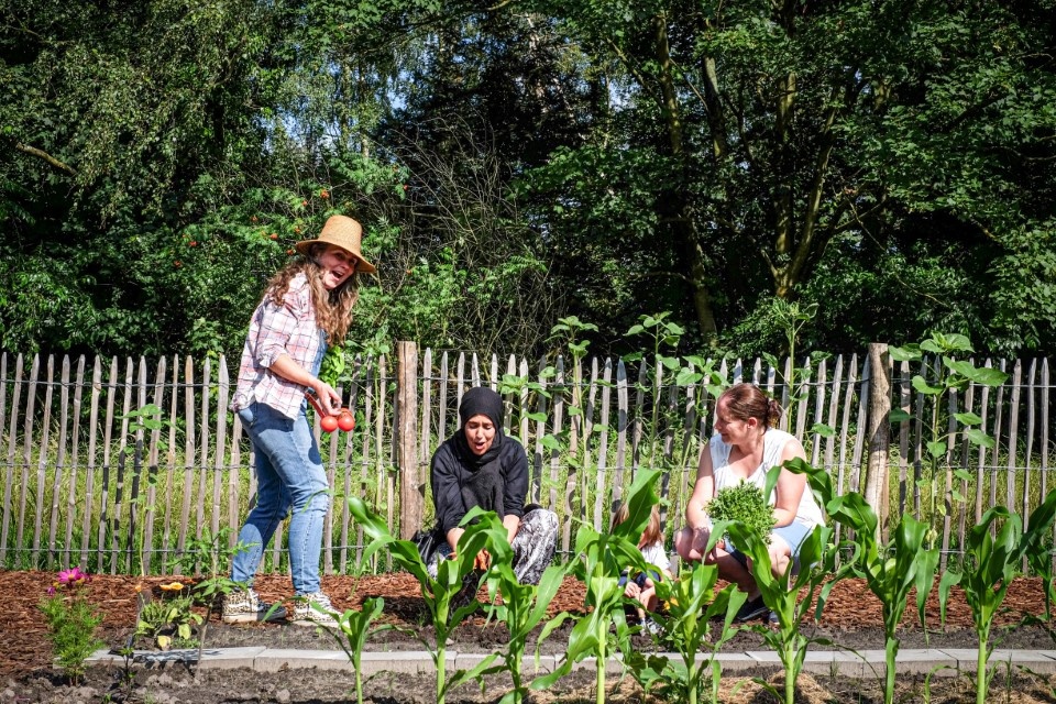 Duurzame verbinding in de samentuin van Schoonbeek